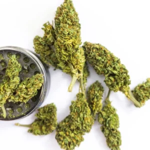 kjøp cannabis THC i Norge